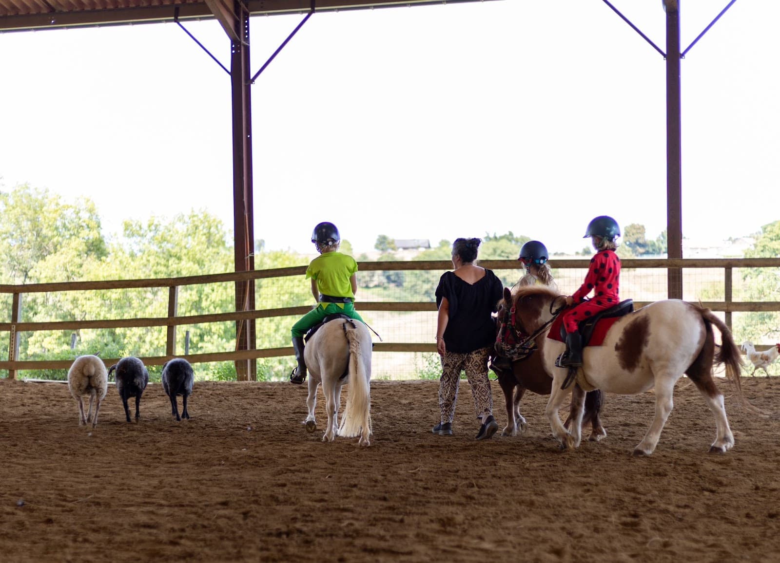 LE CARROUSEL AQUITAIN — photo 1
