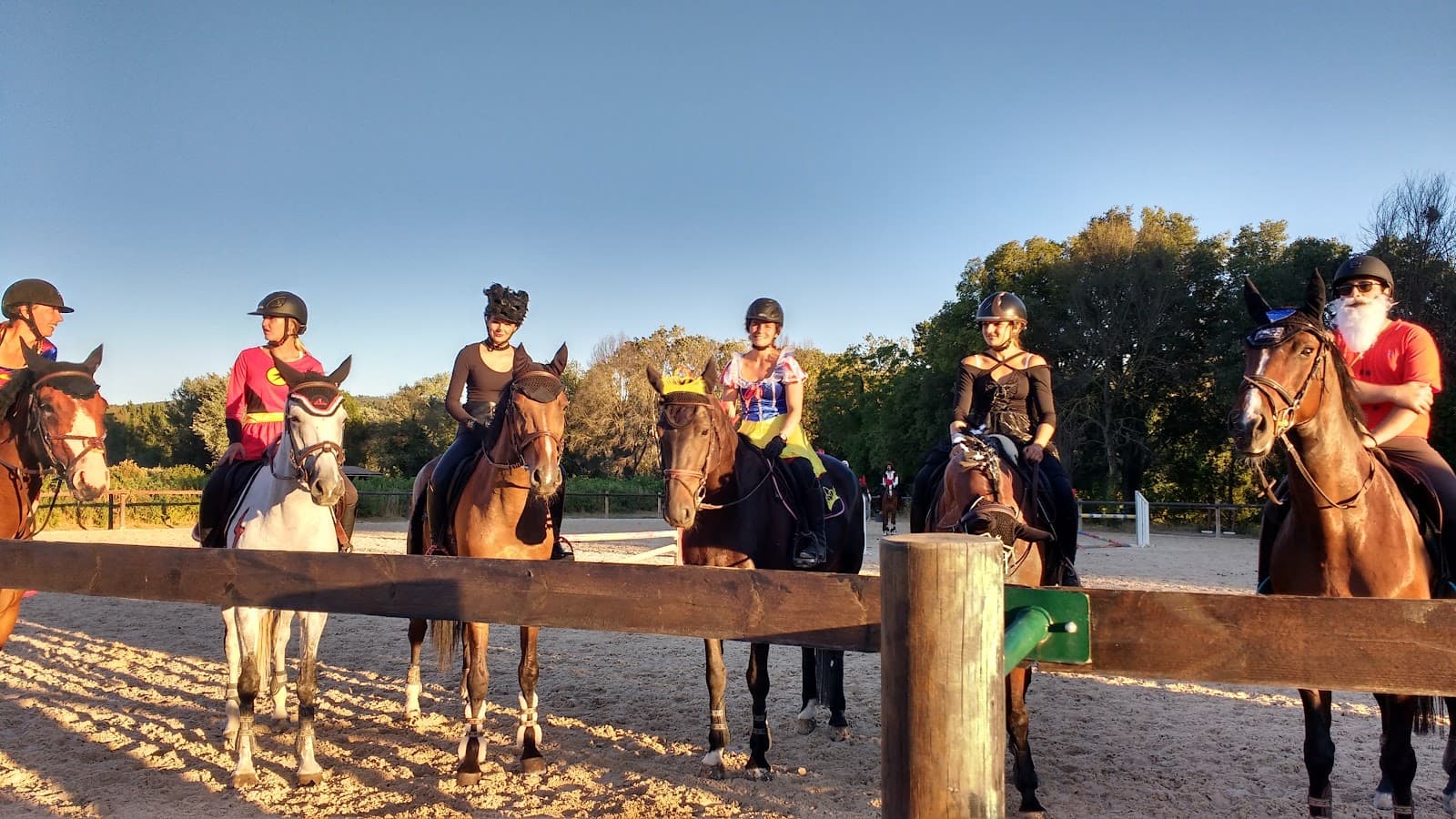 LE CHEVAL D ARGENS — photo 1