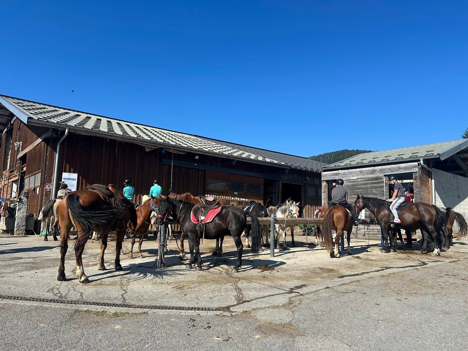 LE CHEVAL DE FEUG — photo 1