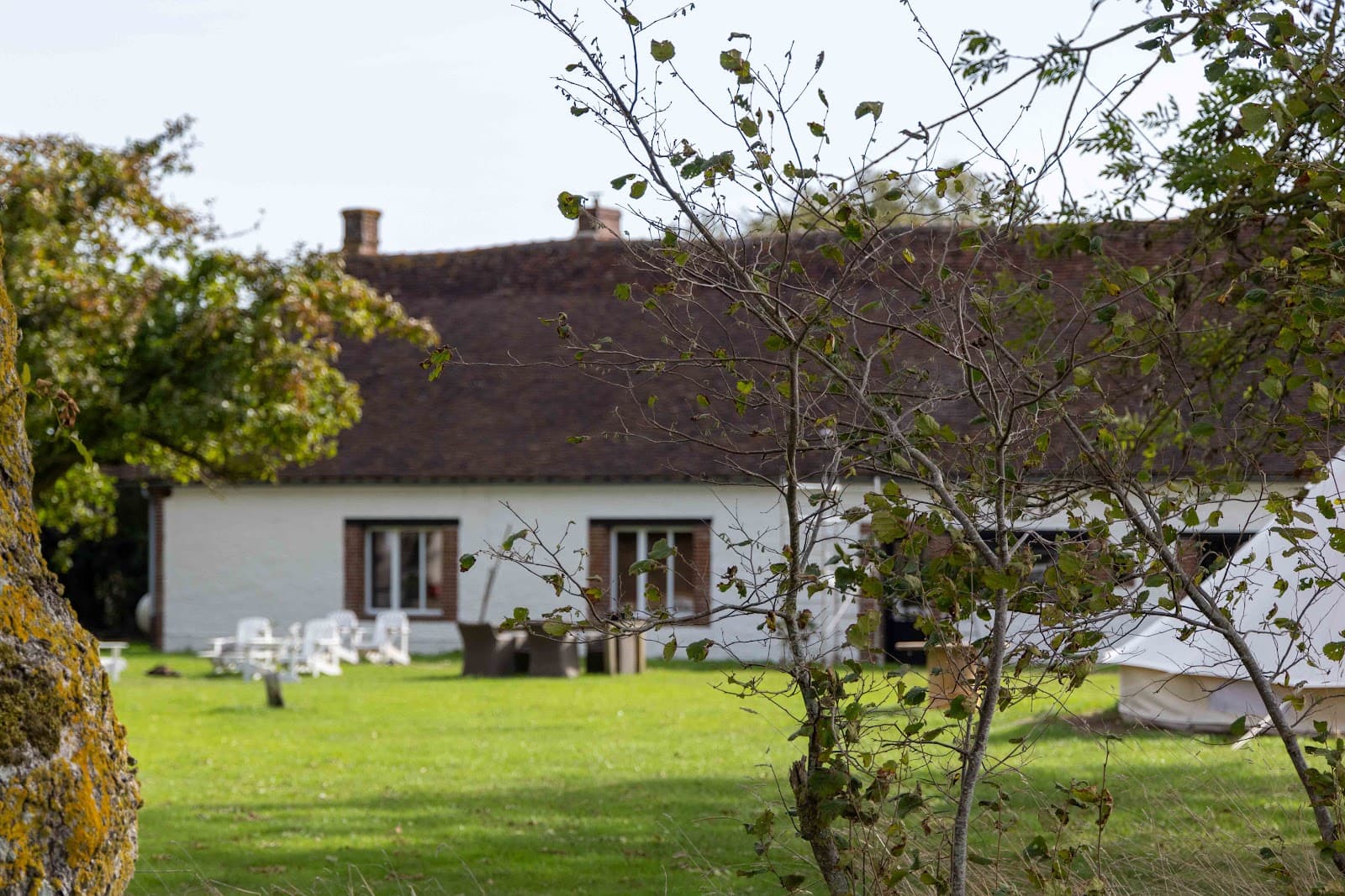 LE HARAS D AGATHE ET SES PRINCES — photo 1