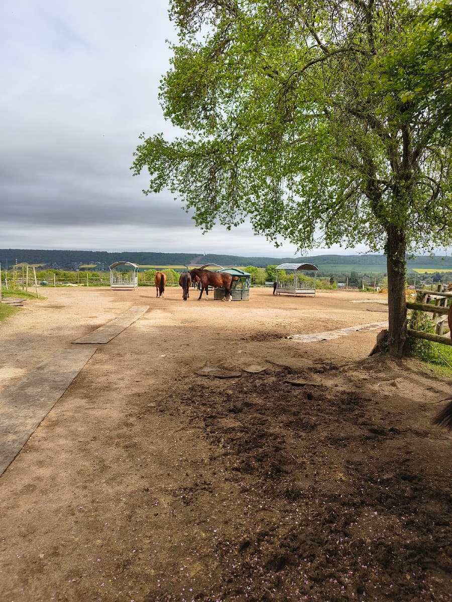 LE HARAS DE L ILE — photo 1