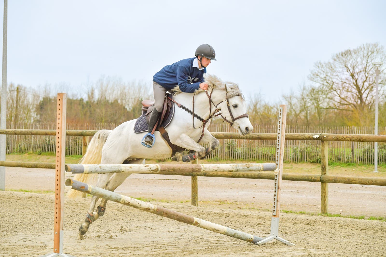 LE HARAS DE LA HOCQUERIE — photo 1