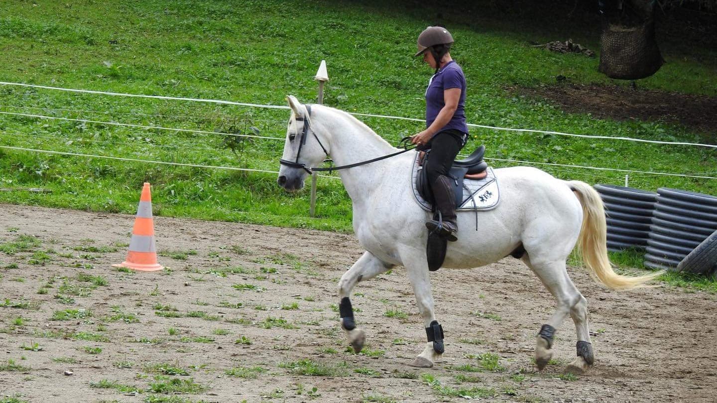LE PONEY FRINGANT — photo 1