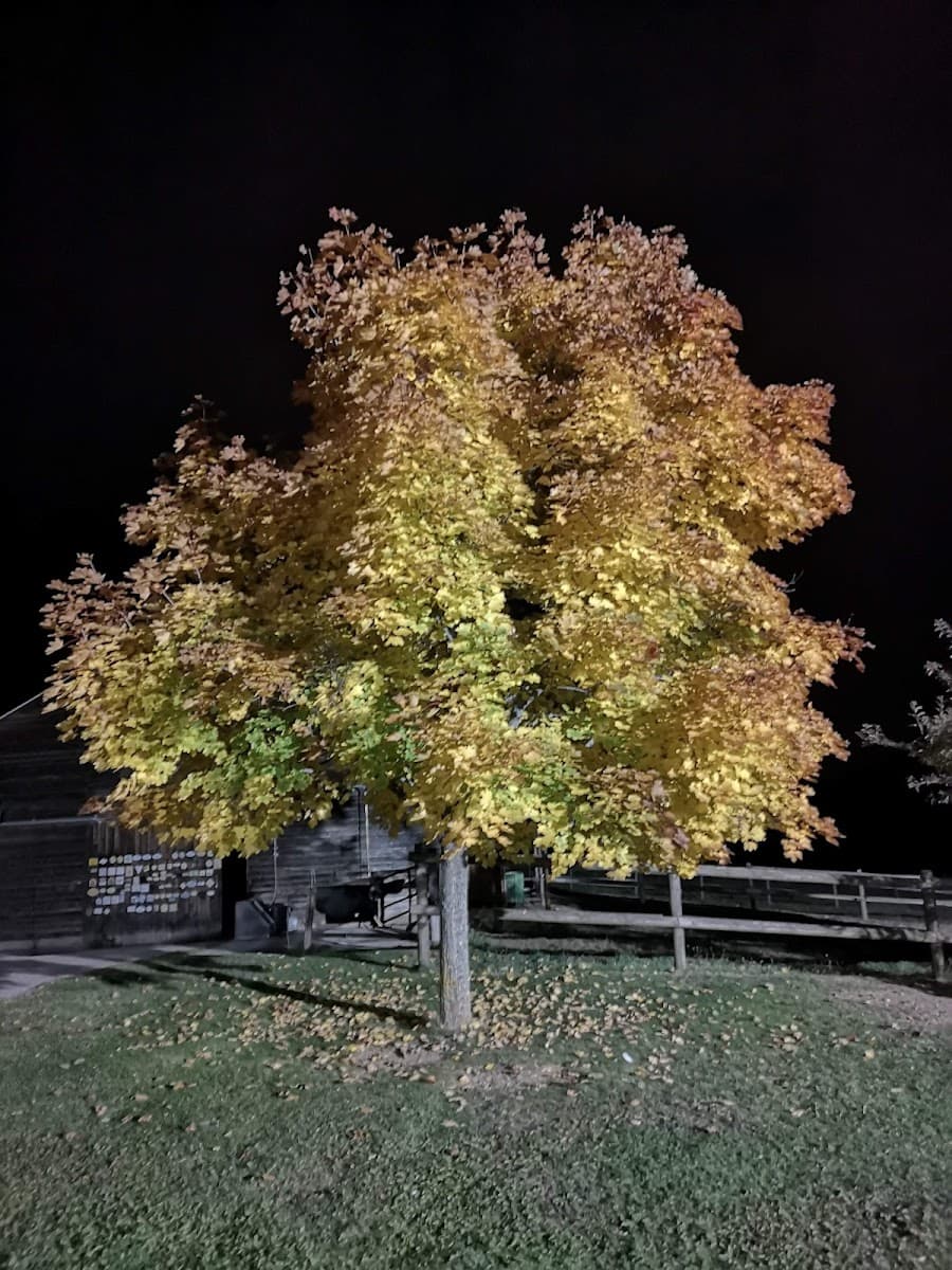 LE RANCH DES BLAYES — photo 1