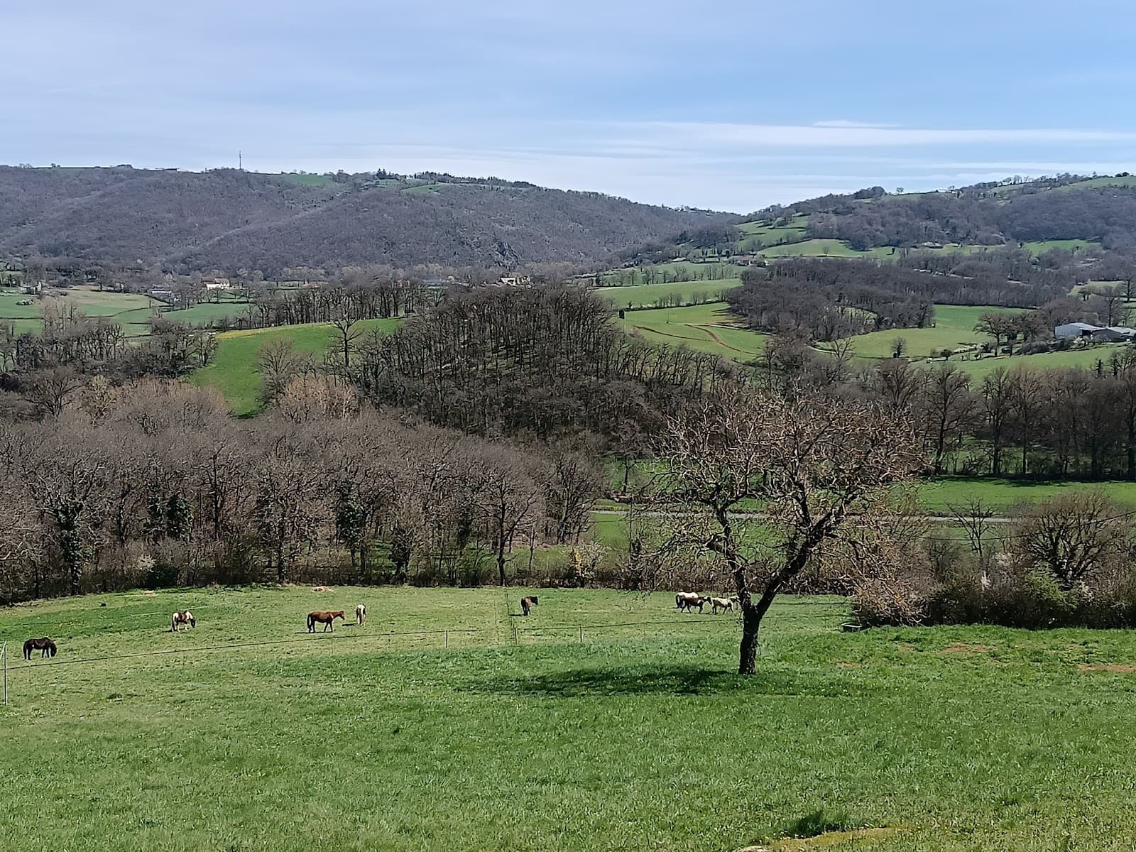 Le Ranch des Centaurées — photo 1