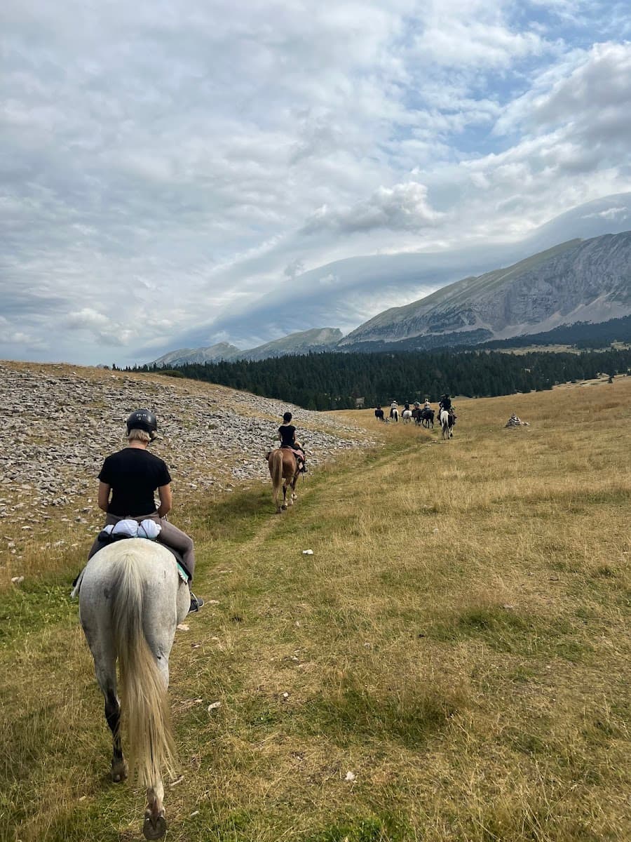 LE VERCORS A CHEVAL — photo 1
