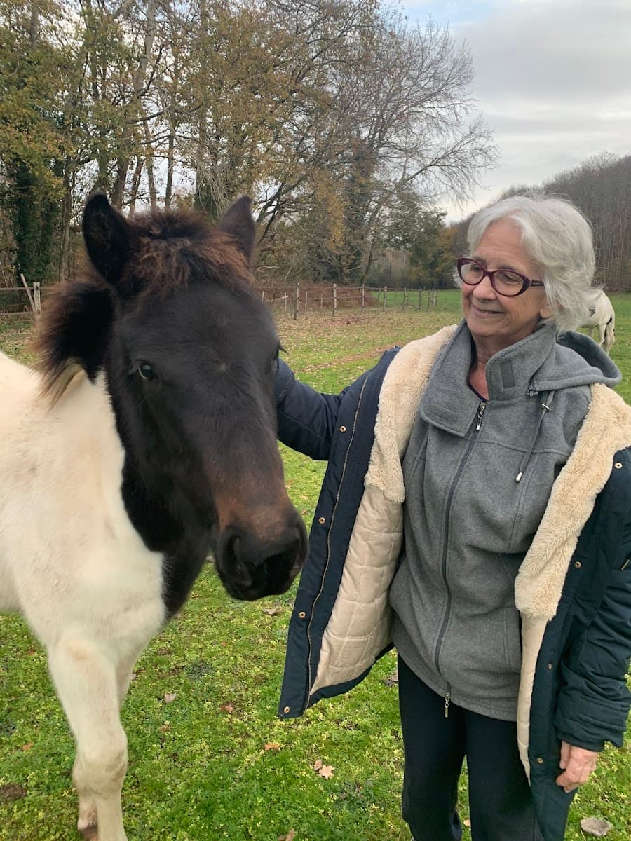 LES 2 EQUI LIBRES — photo 1