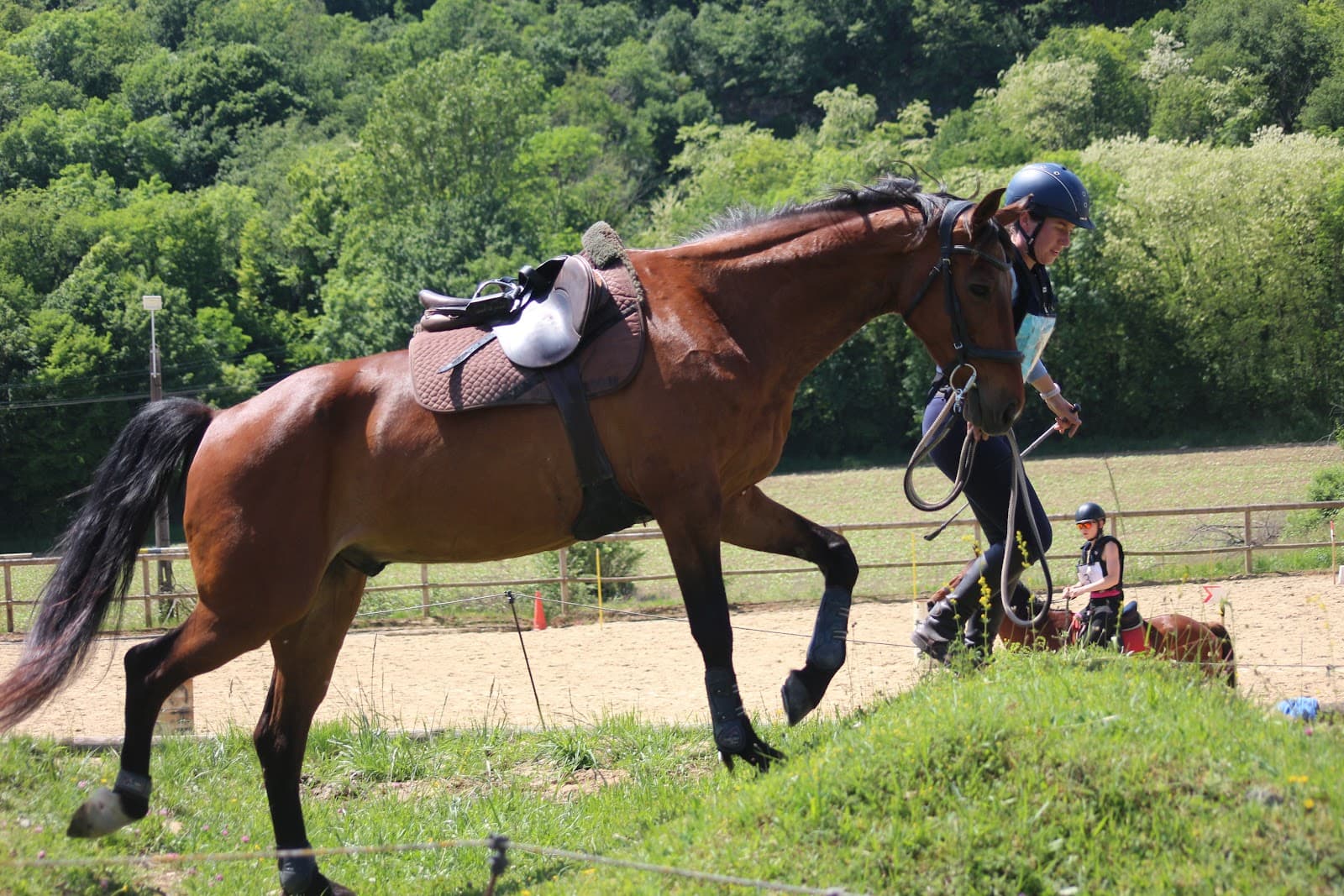 LES AMAZONES ECURIE ACTIVE — photo 1