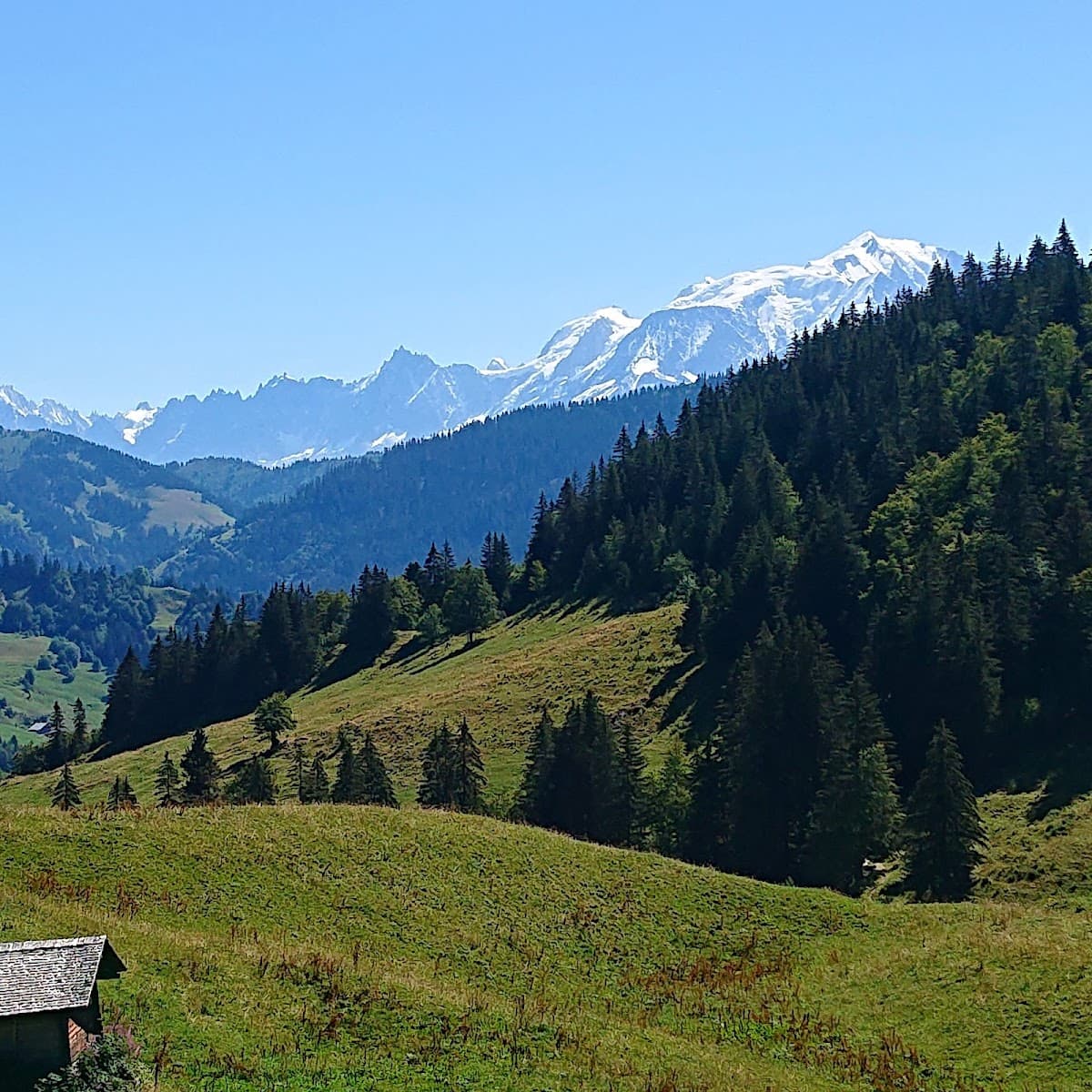 LES AMIS DU HA RAS DU FIER — photo 1