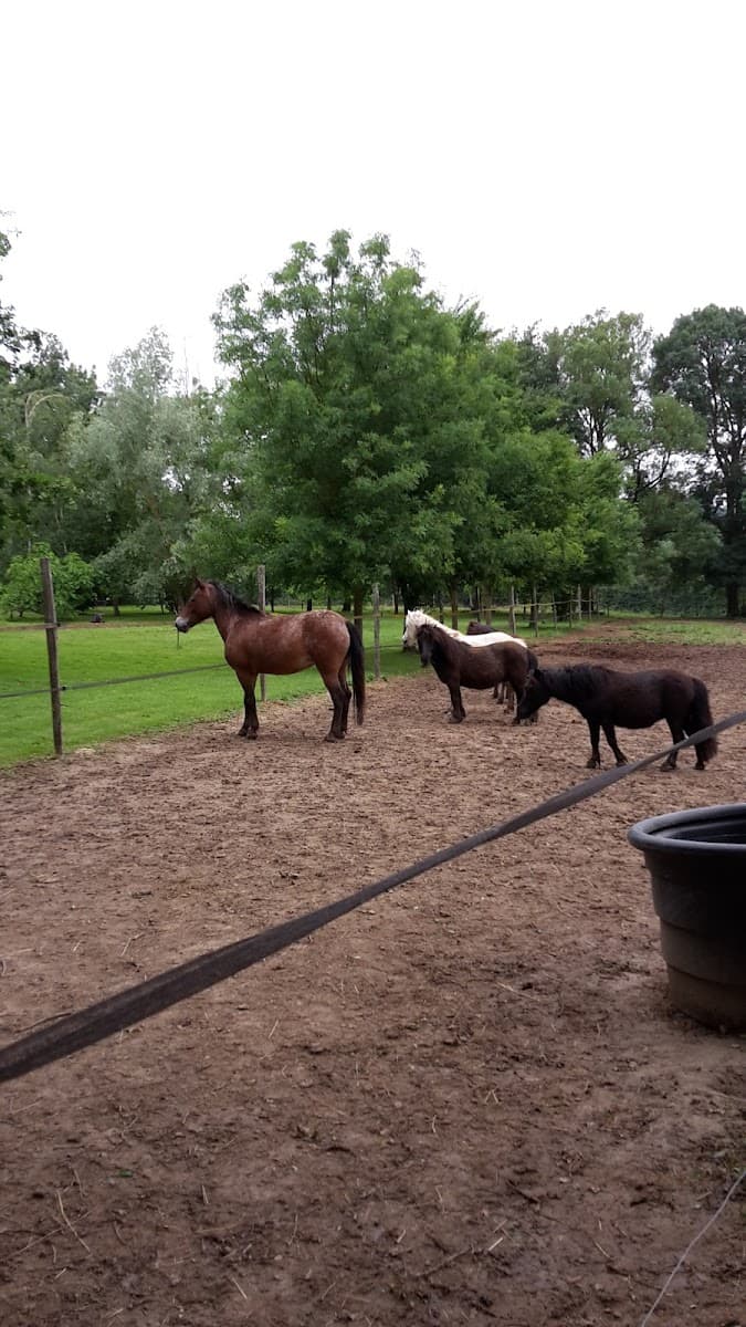 LES CAVALIERS D ARMAGNAC — photo 1