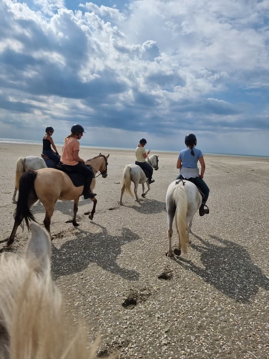 LES CAVALIERS DE L ESCALE — photo 1