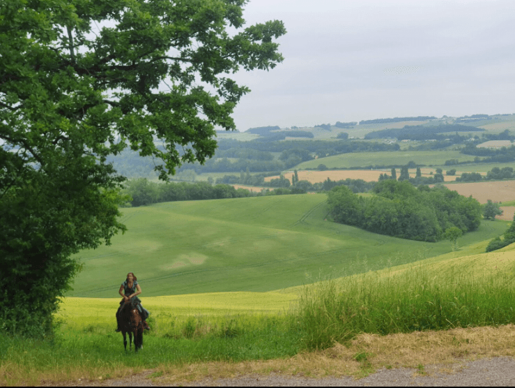 LES CHEMINS DE DIVA — photo 1