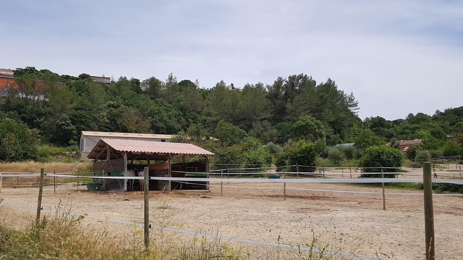 LES CHEVAUX DE L EMOTION — photo 1