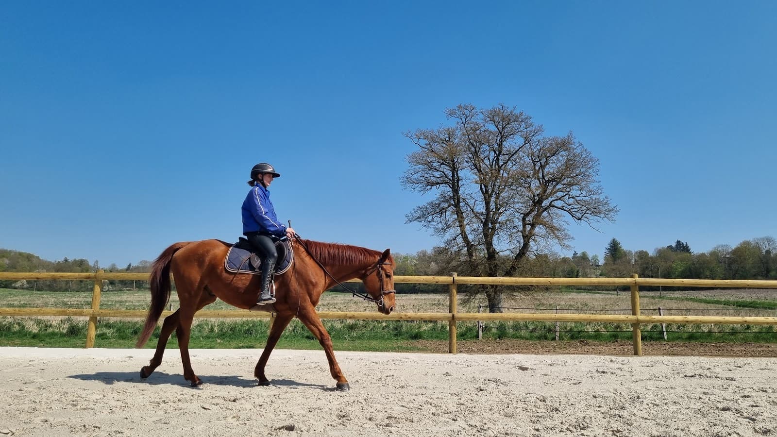 LES CHEVAUX DE LA RISLE — photo 1