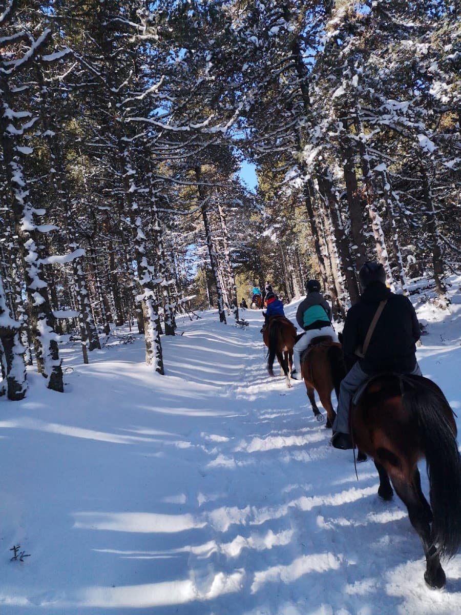 LES CHEVAUX DE LA TRAMONTANE — photo 1