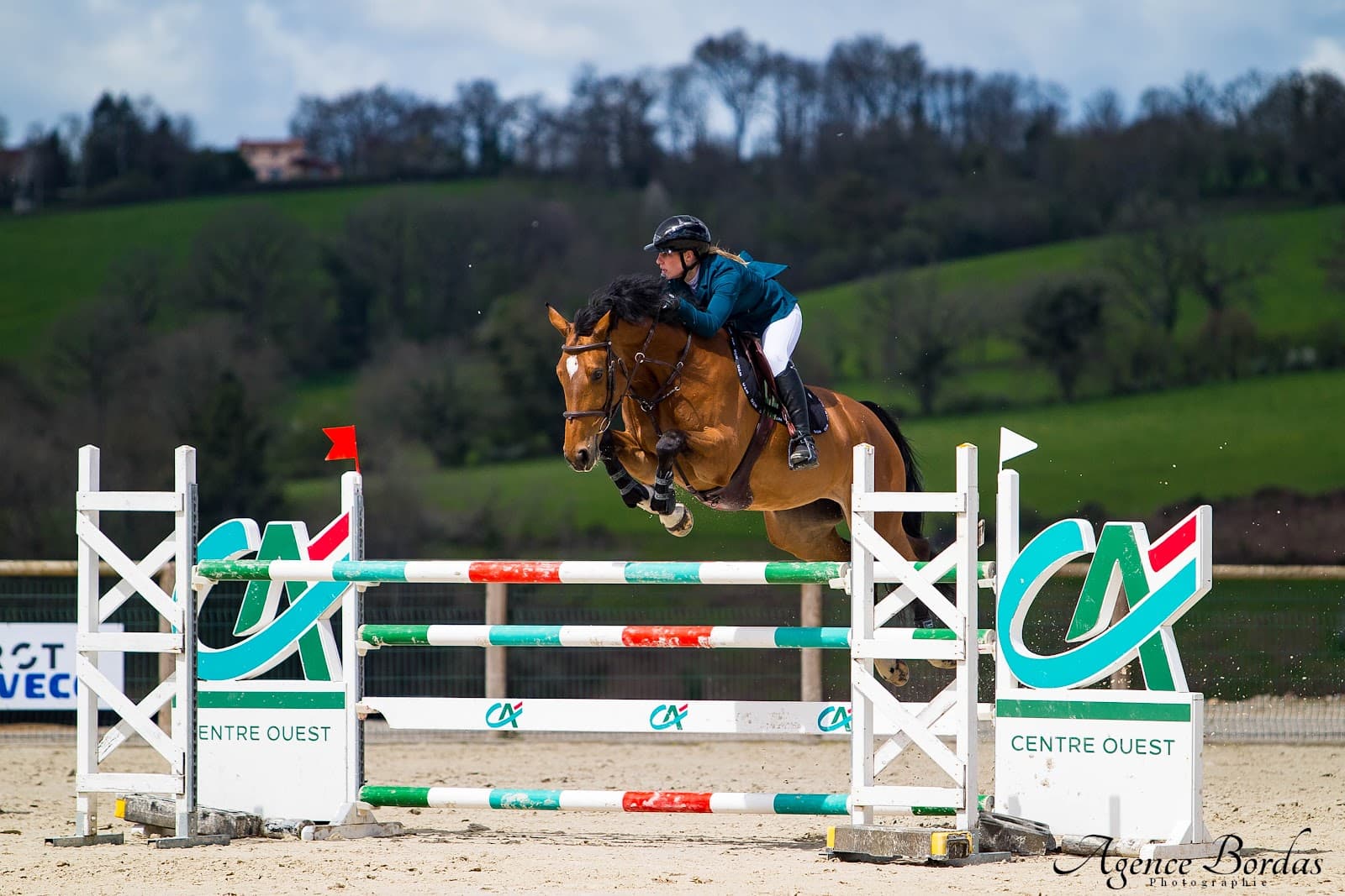 LES CHEVAUX DE MONCONTOUR — photo 1