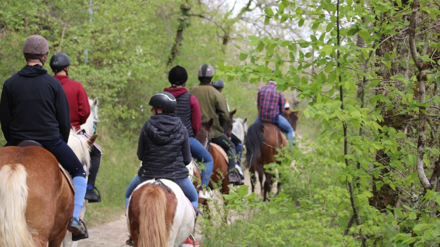 LES CHEVAUX DE ROUSIEUX — photo 1