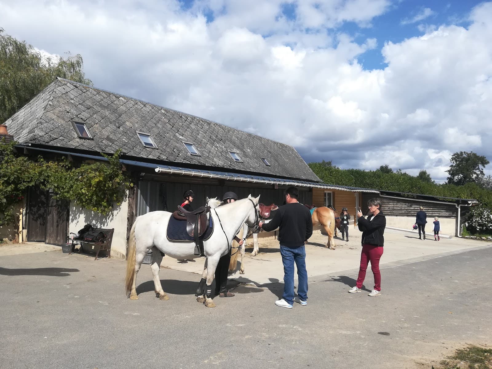 LES CHEVAUX DE SAINT VICTOR — photo 1