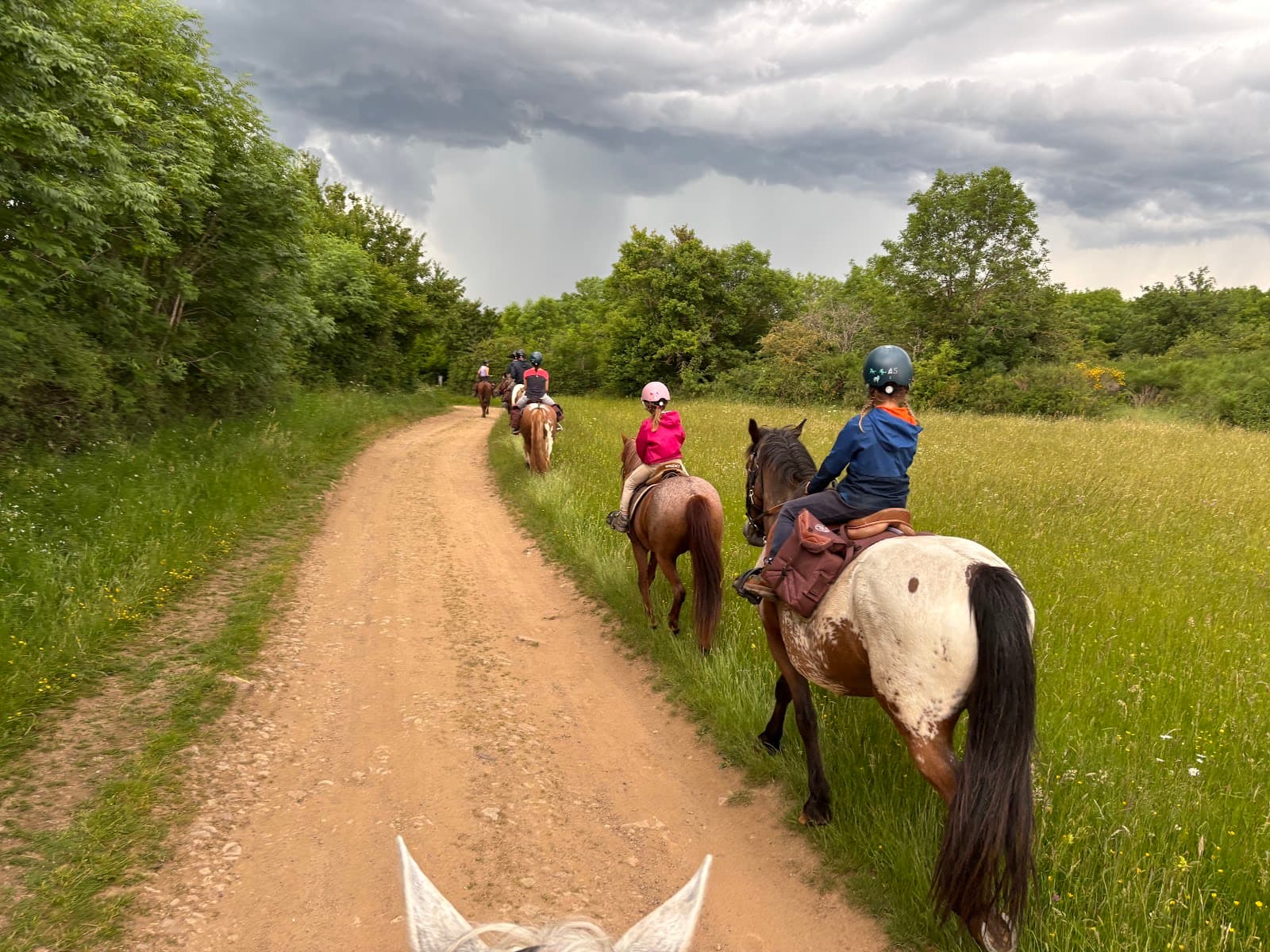 LES CHEVAUX DES BISETTES — photo 1