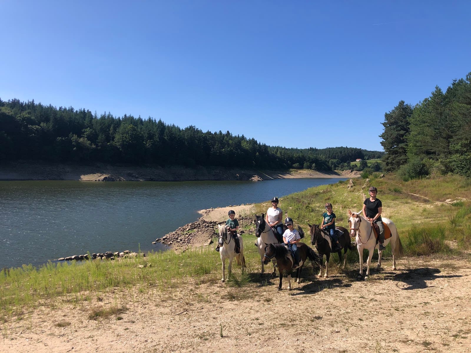 LES CHEVAUX DU CLOS DE LA GARDILLE — photo 1