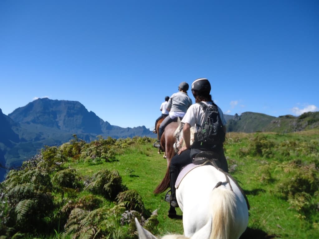 Les Chevaux du Maïdo — photo 1