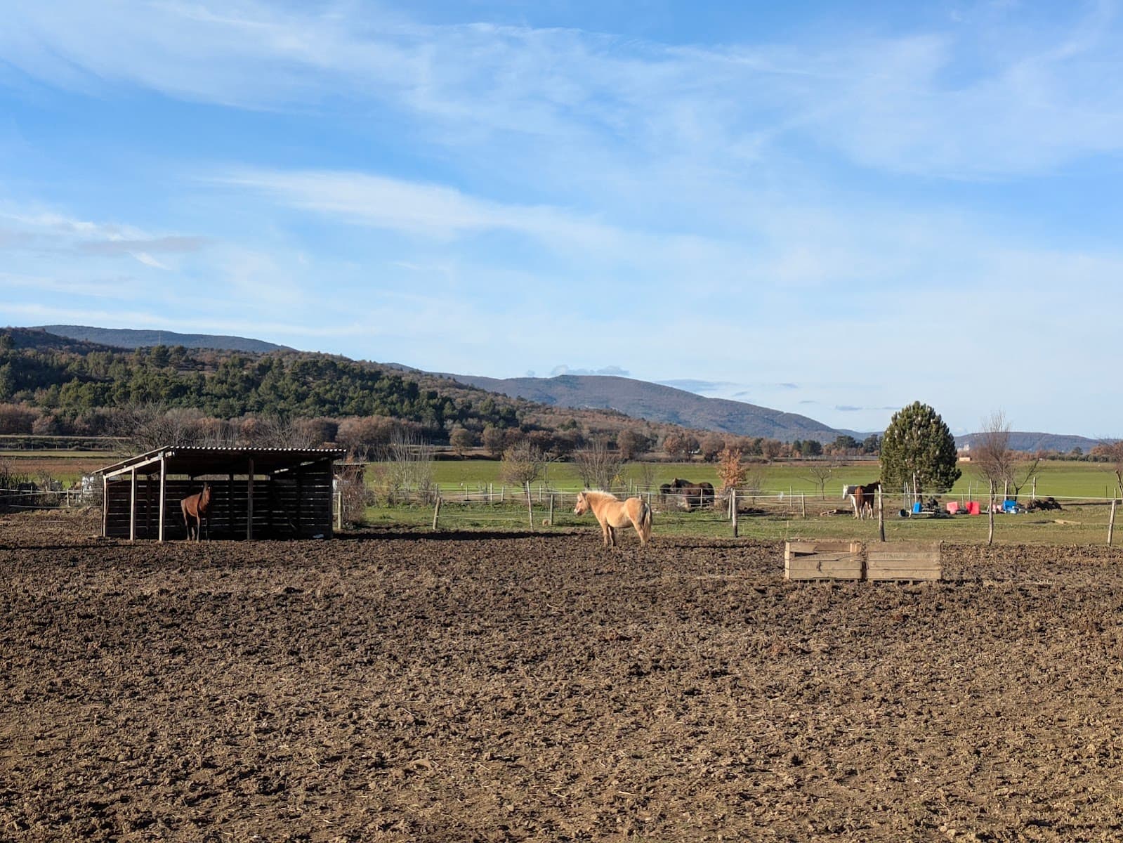 LES CHEVAUX JARLANDINS — photo 1