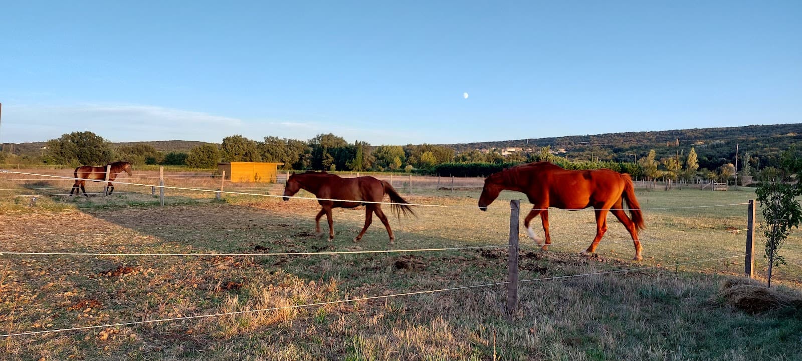 LES CURLY DE PROVENCE — photo 1