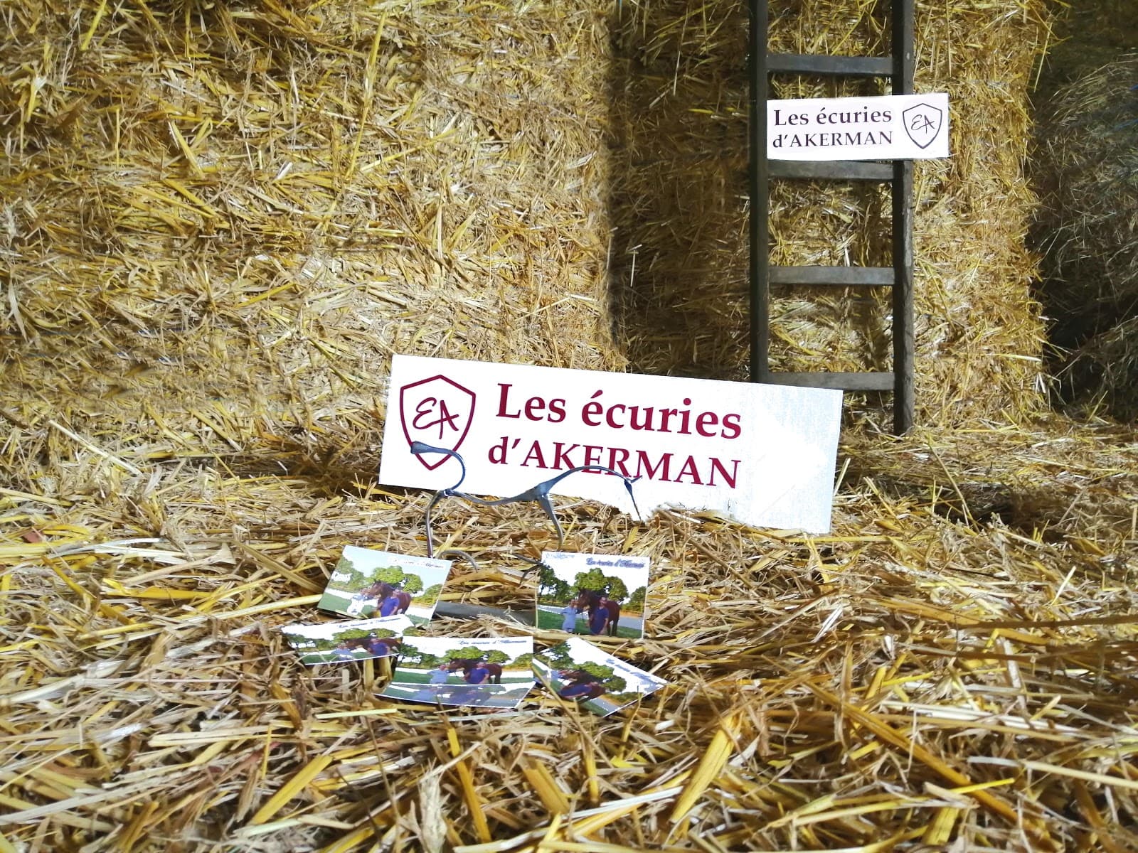 LES ECURIES D AKERMAN — photo 1