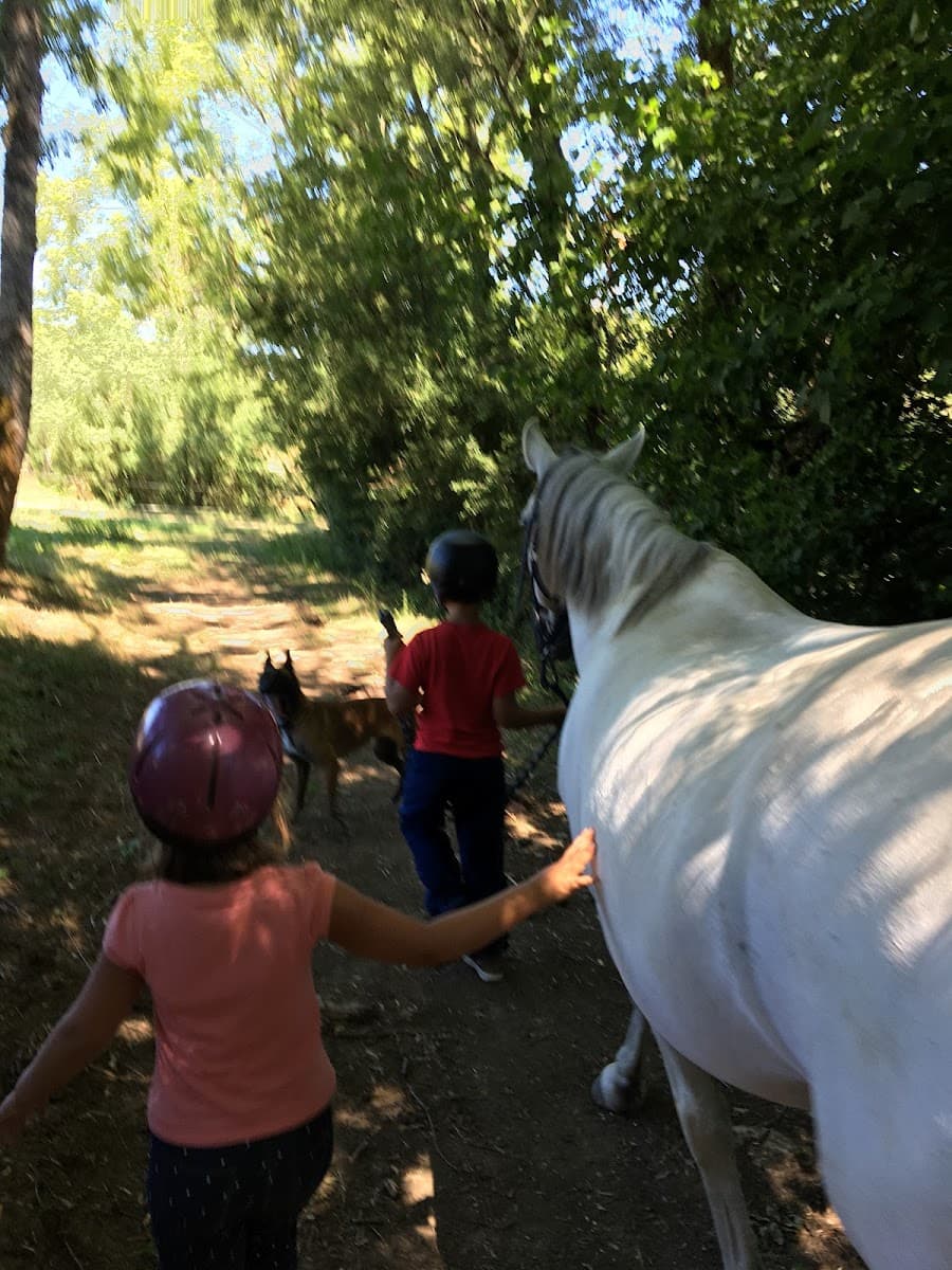 LES ECURIES D APHRODITE — photo 1