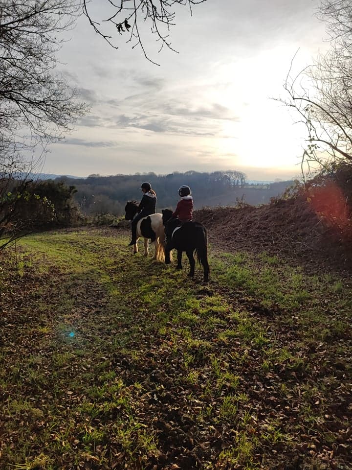 LES ECURIES D ARMORIQUE — photo 1