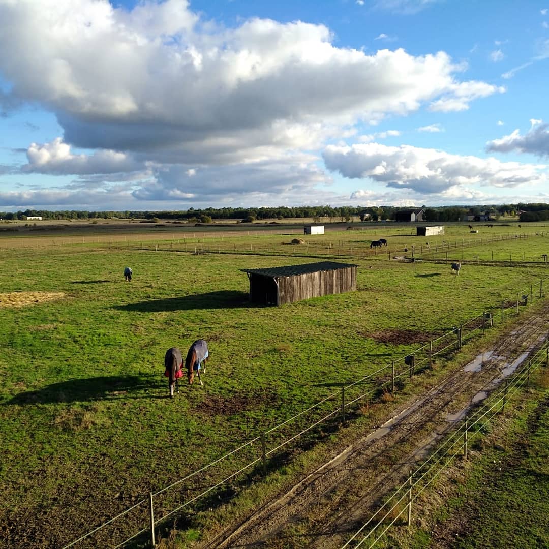Les Écuries d'L — photo 1
