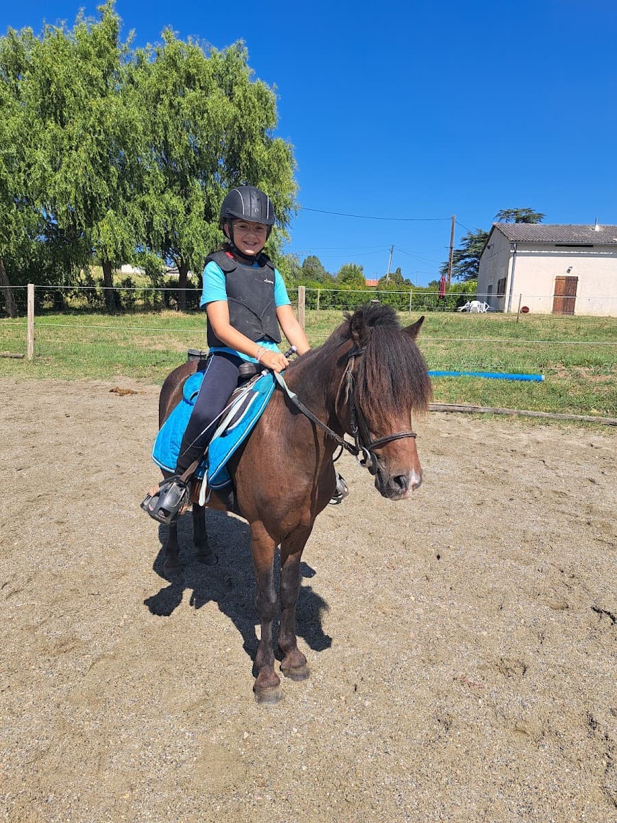 LES ECURIES D ODE — photo 1