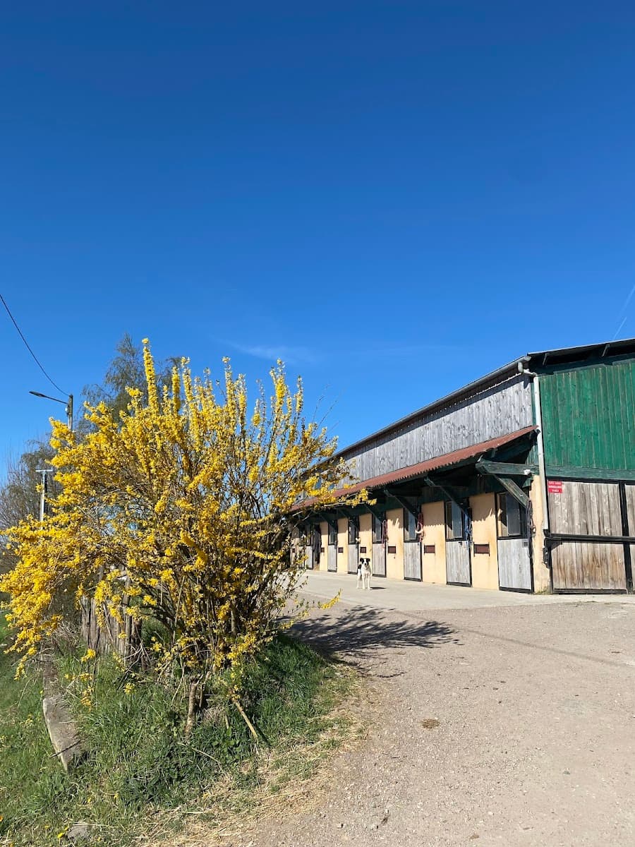 les Écuries de Bocquegney — photo 1