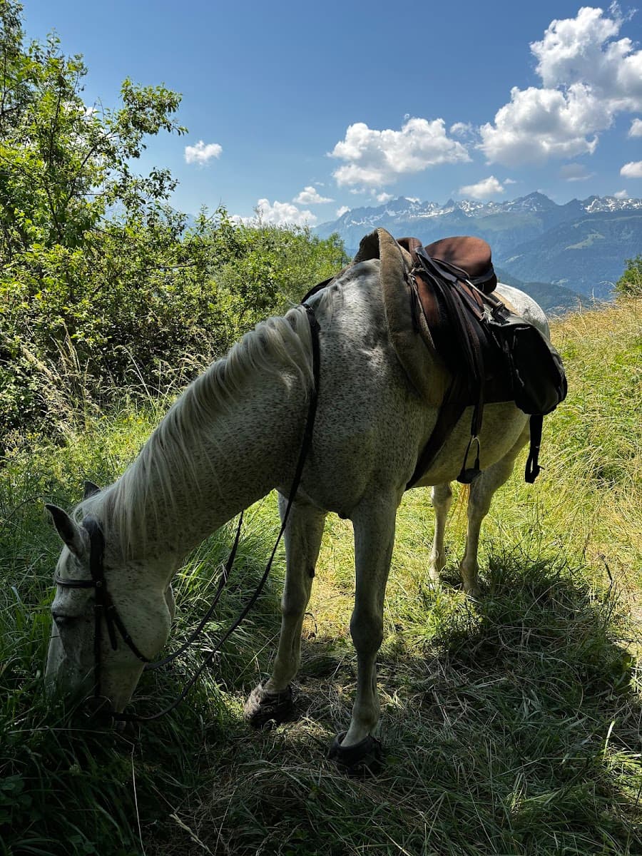 LES ECURIES DE GRAND COEUR — photo 1