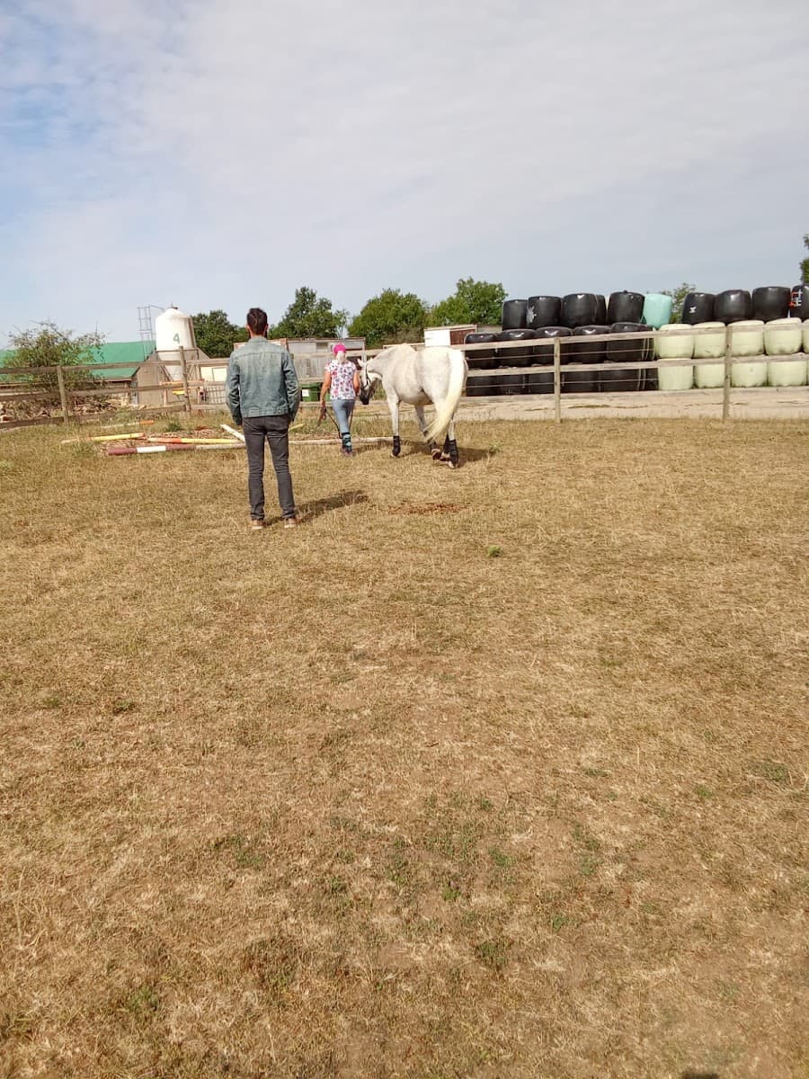 LES ECURIES DE GUILLERVAL — photo 1