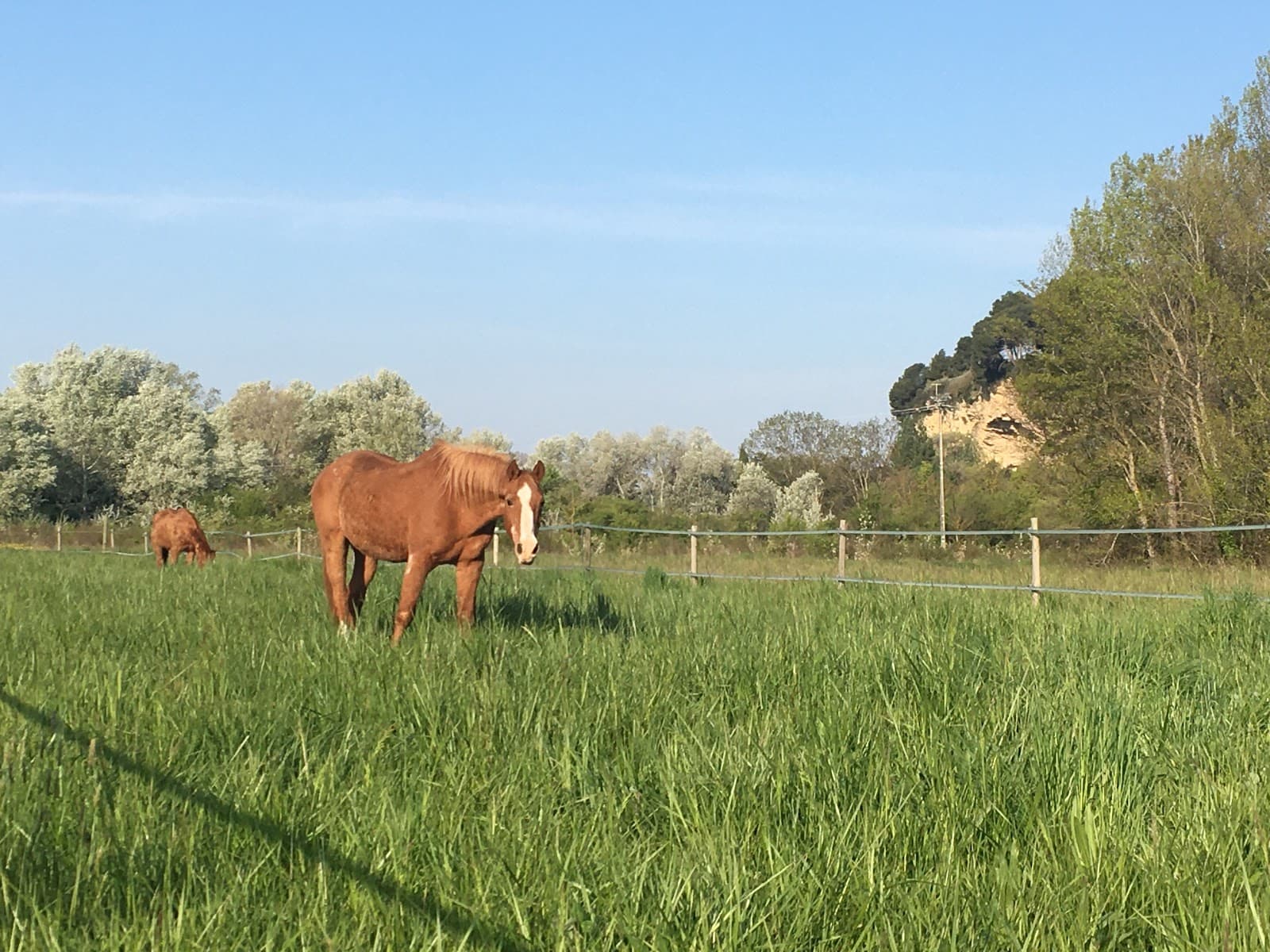 LES ECURIES DE LAURIS — photo 1