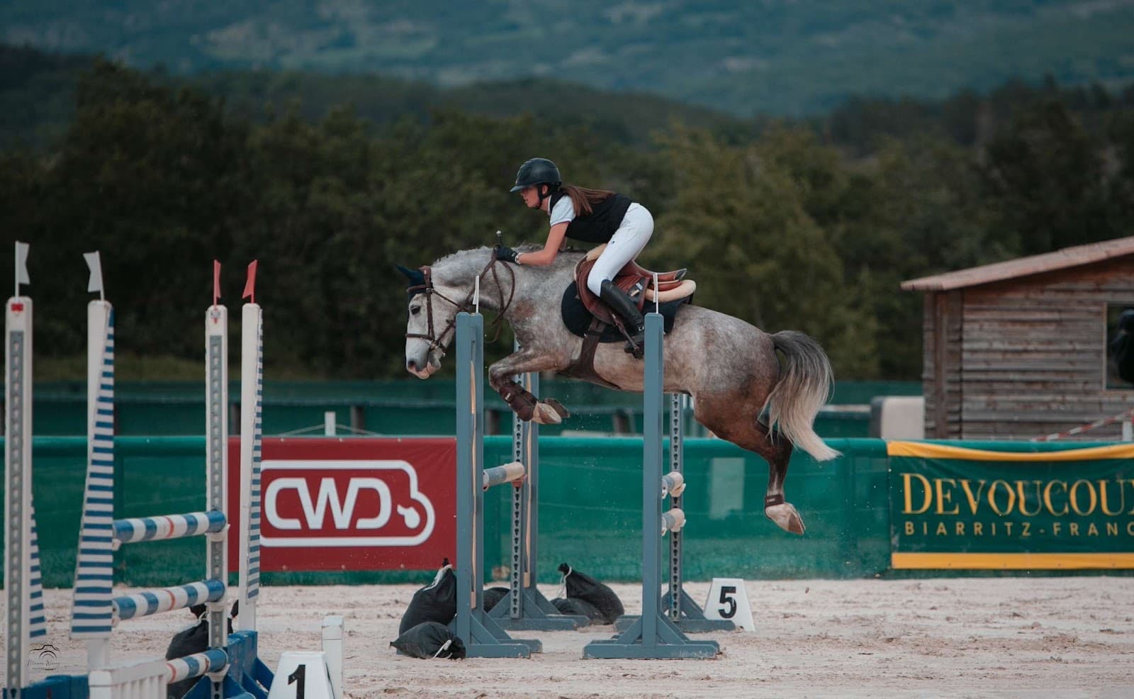 LES ECURIES DE MONTMAUR — photo 1