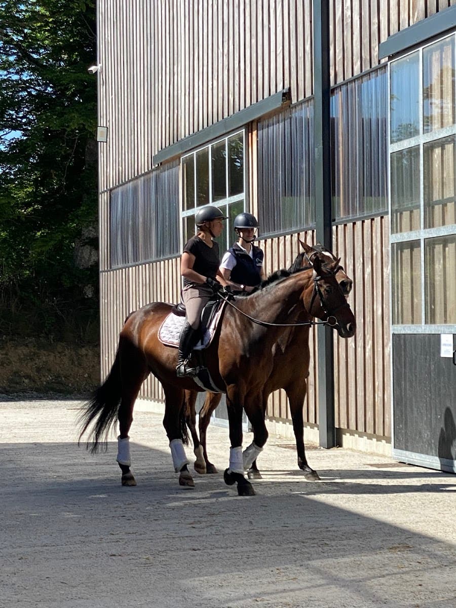 LES ECURIES DE NORMANDEL — photo 1