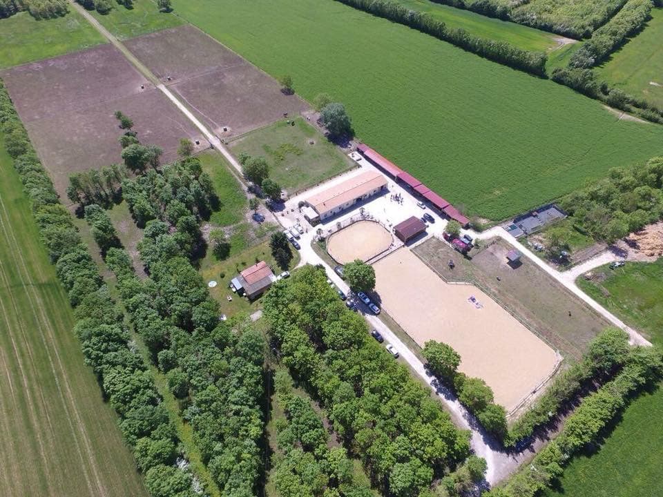 Les Écuries des Palmiers — photo 1