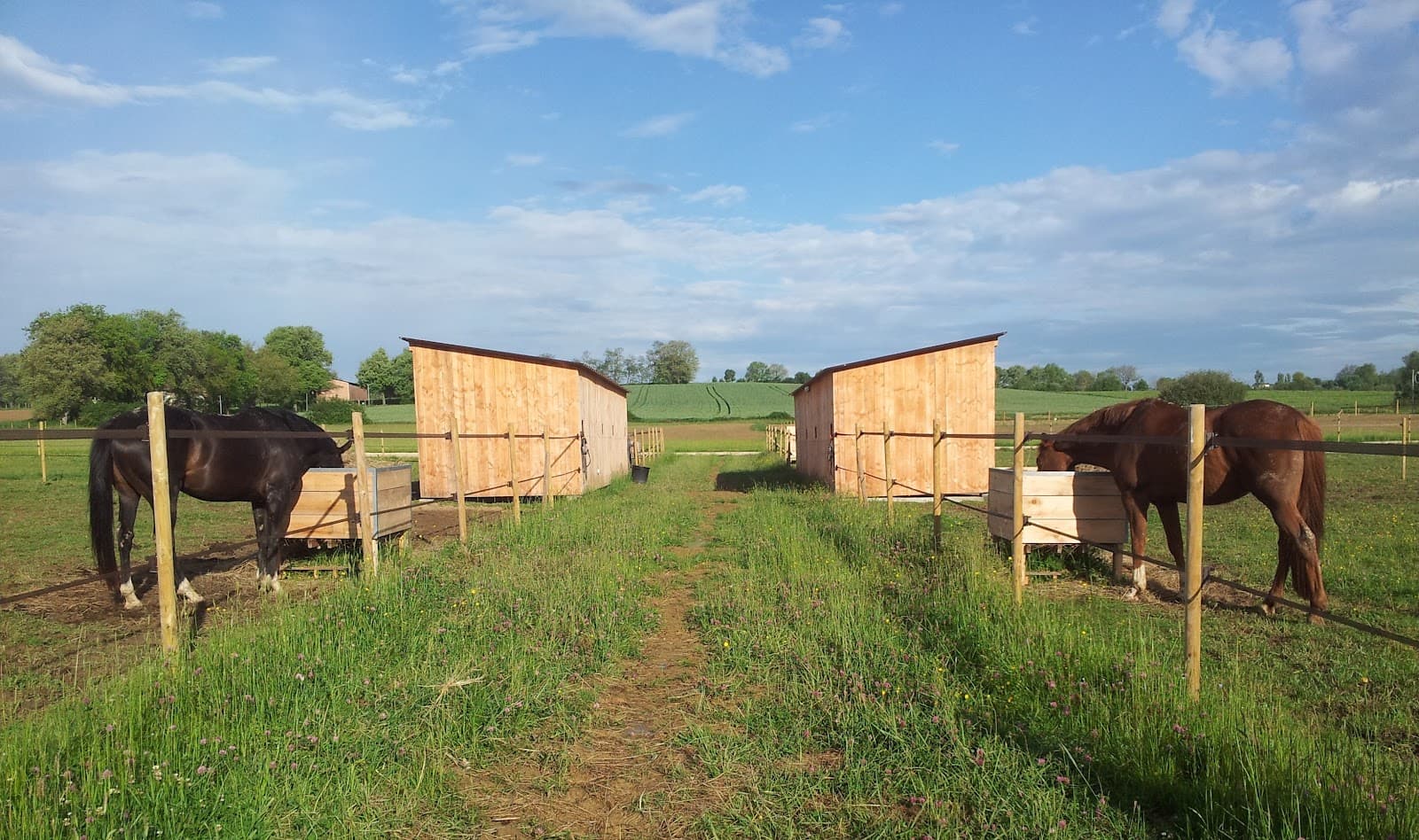 LES ECURIES DU BARRAIL — photo 1