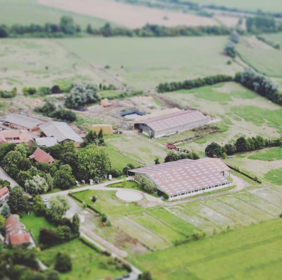 LES ECURIES DU BRUSLE — photo 1