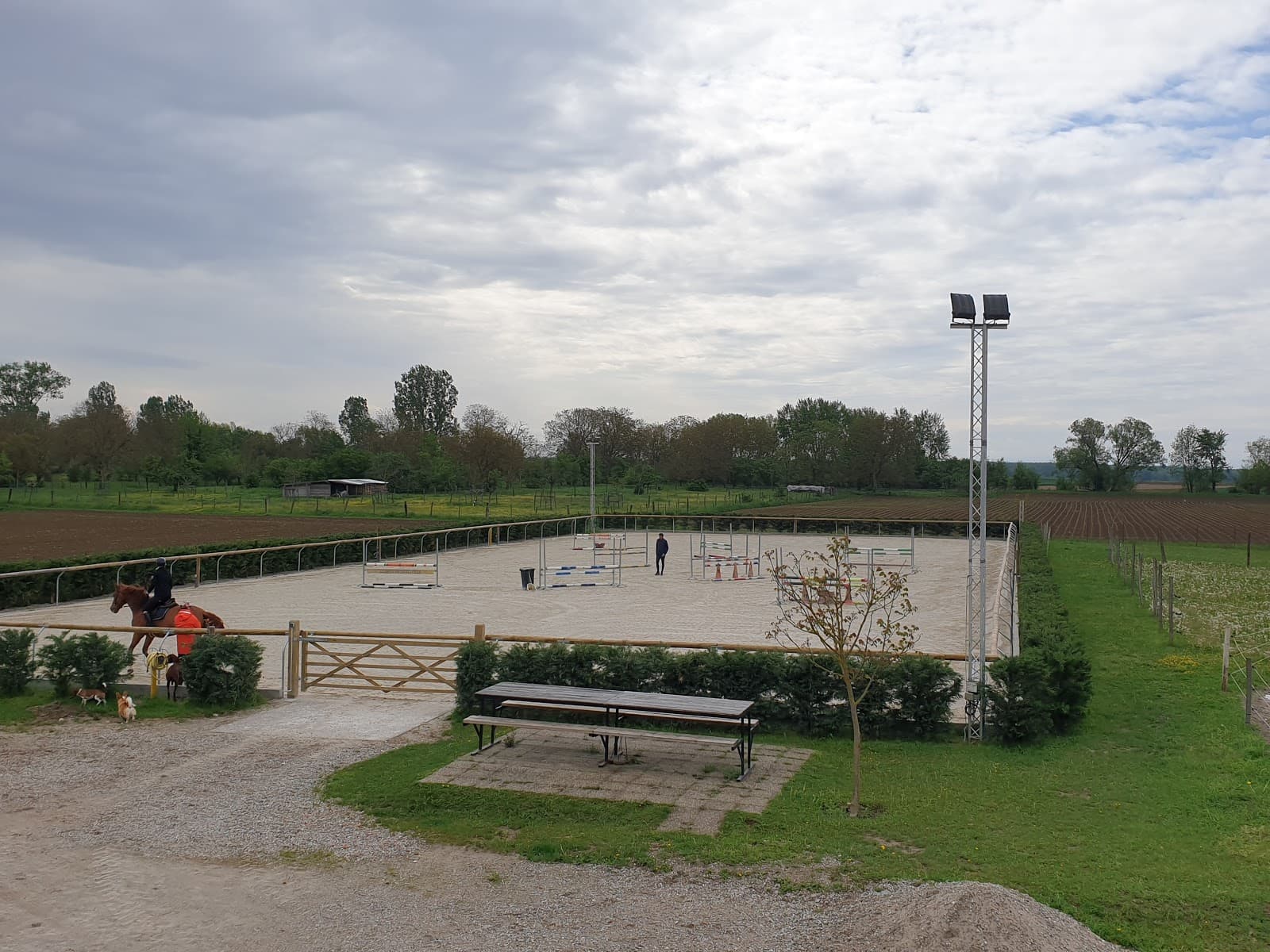 LES ECURIES DU LITZELFELD — photo 1