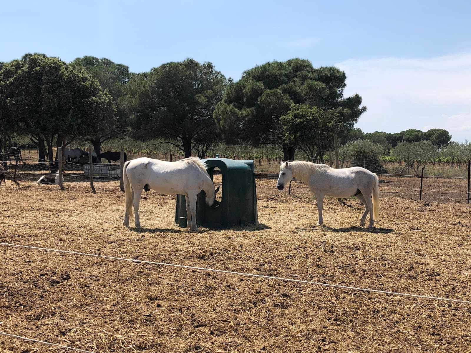 LES ECURIES DU LOISIR — photo 1