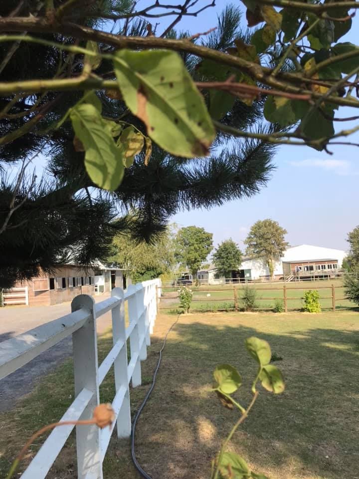 LES ECURIES DU MANOIR — photo 1