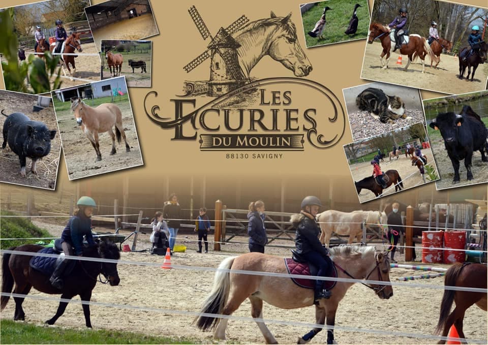 LES ECURIES DU MOULIN — photo 1
