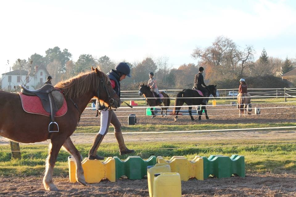 LES GALOP PINS — photo 1