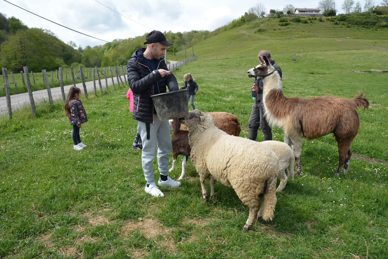 LES PONEYS DE LA DURME — photo 1