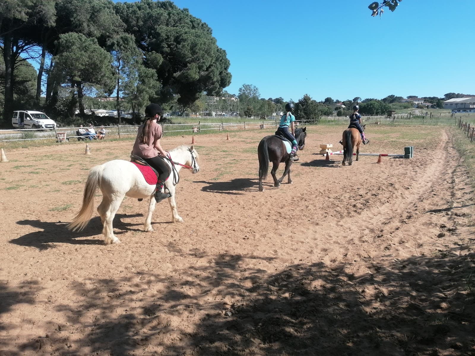 LES PONEYS DE SOPHIE — photo 1