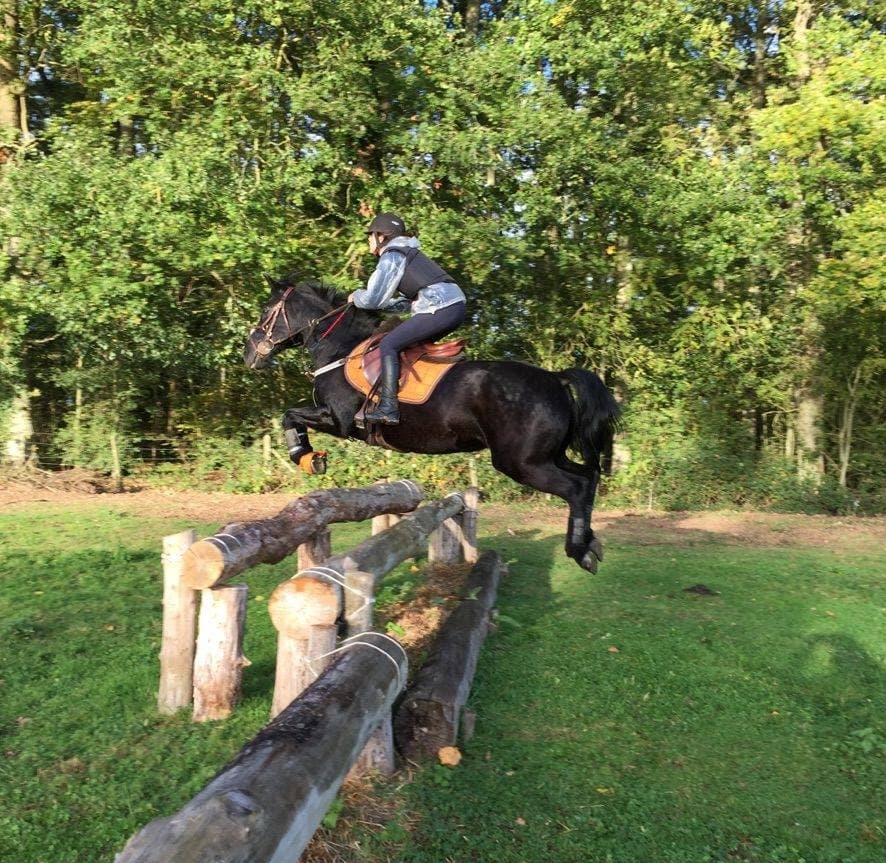LES PONEYS DU MAUGIS — photo 1
