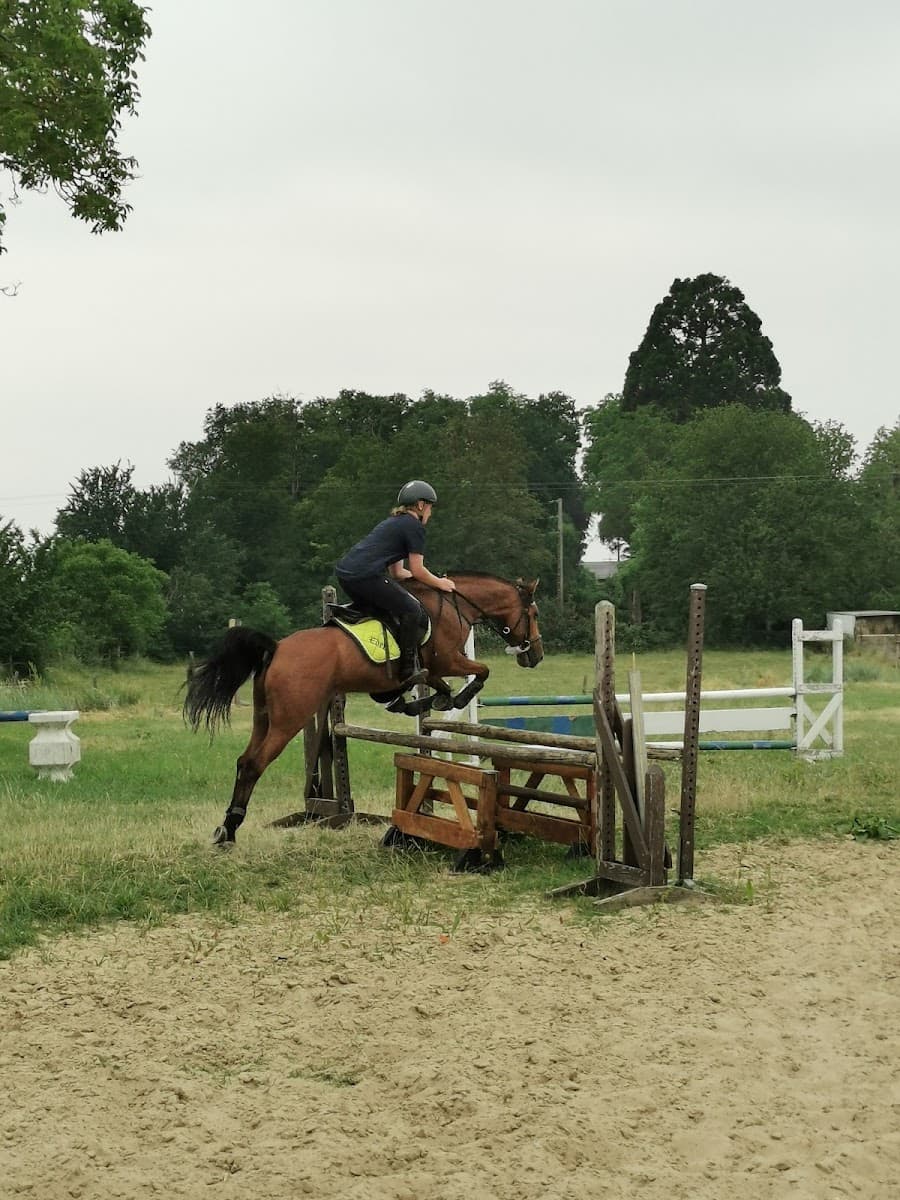 LES PONEYS — photo 1
